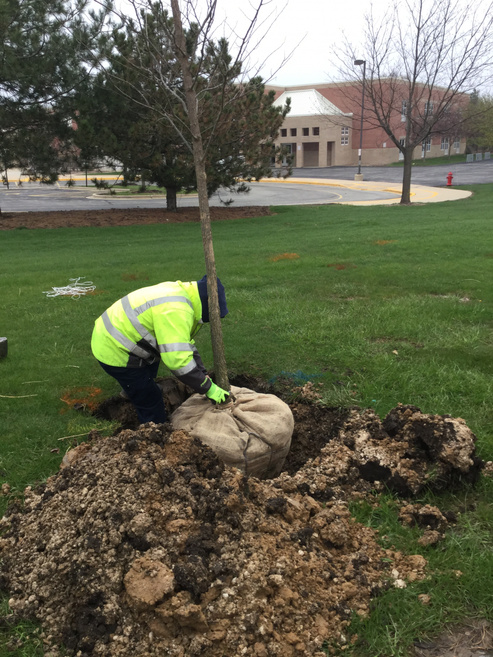 Arbor Day Planting 2020