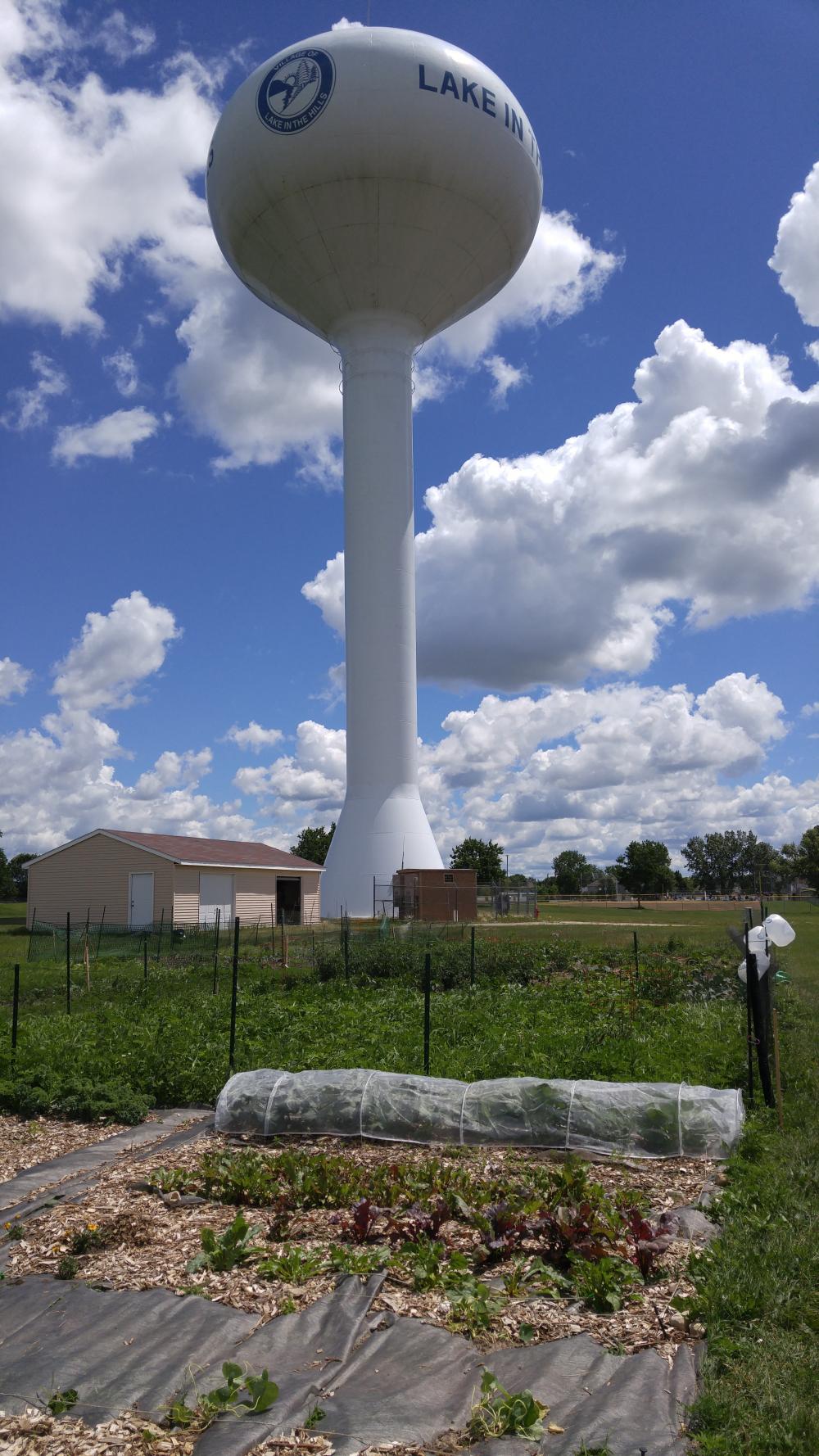 Community Gardens