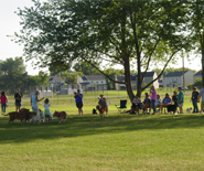 Bark Park News Thumbnail