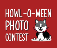 Howl-o-ween Photo Contest Thumbnail