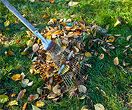 Yard Waste Thumbnail