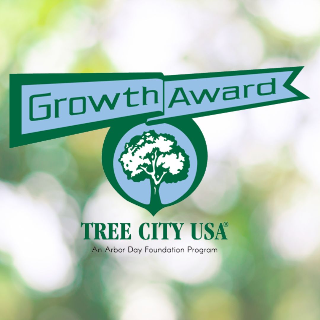 Growth Award Website Icon