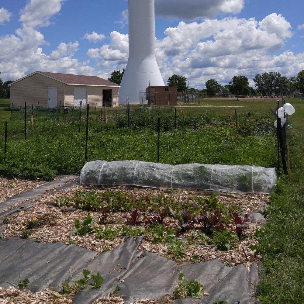 Community Gardens thumbnail